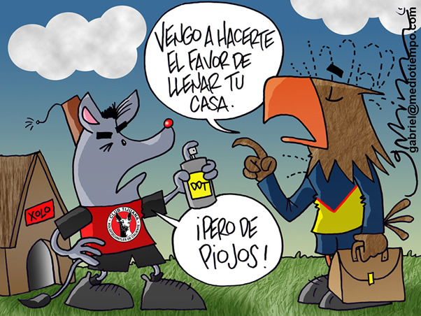 Llenando la casa