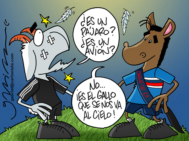 Lluvia de plumas