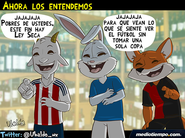 Los entendemos ahora