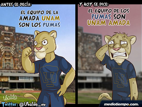 Los Pumas hoy