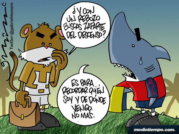 Memoria jarocha