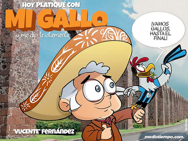 Mi Gallo