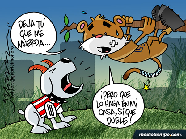 Mordido en casa