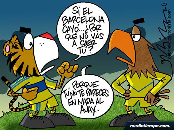 Motivación Felina