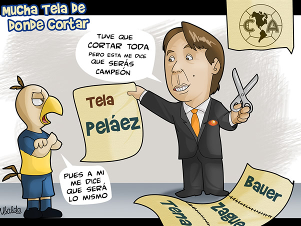 Mucha tela de donde cortar