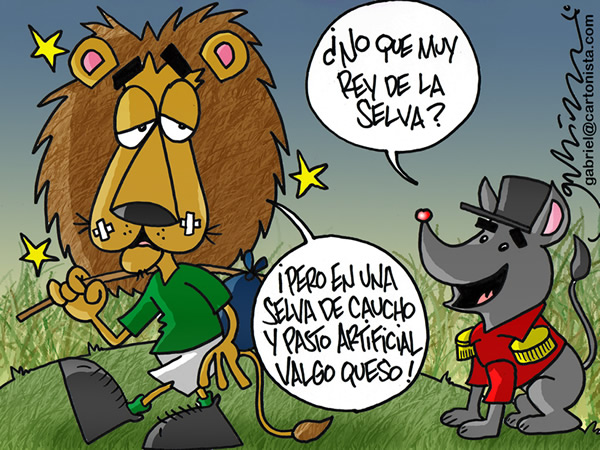 Ni tan Rey