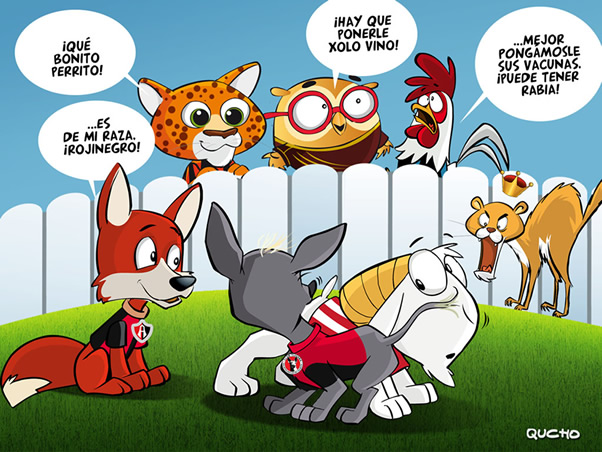 Nueva mascota