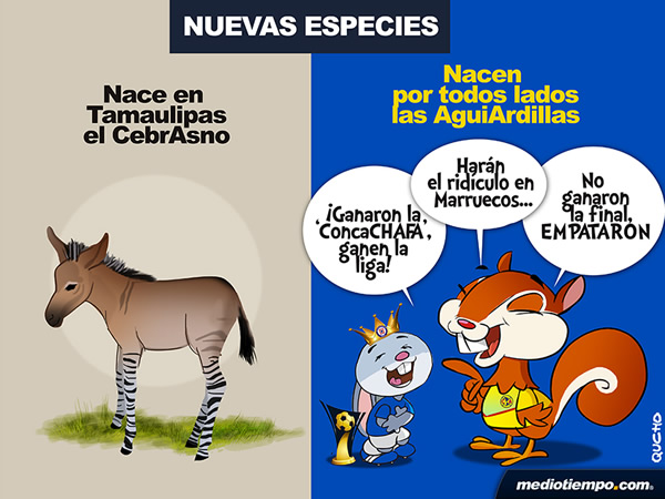Nuevas especies