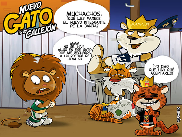 Nuevo gato en el callejón