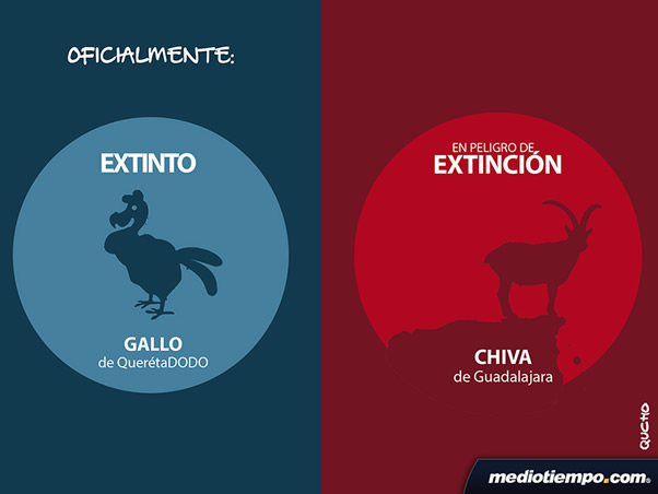 Oficialmente