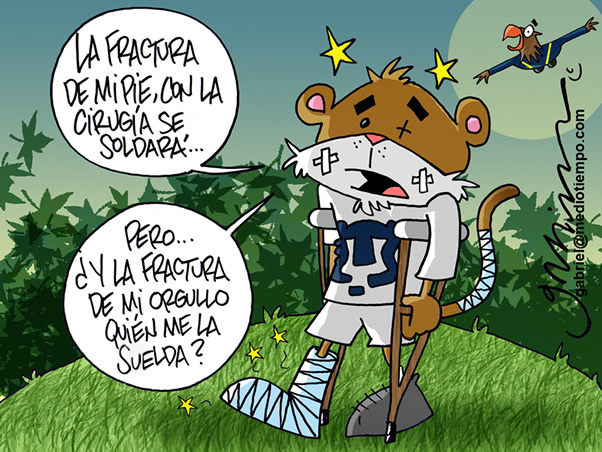 Orgullo fracturado
