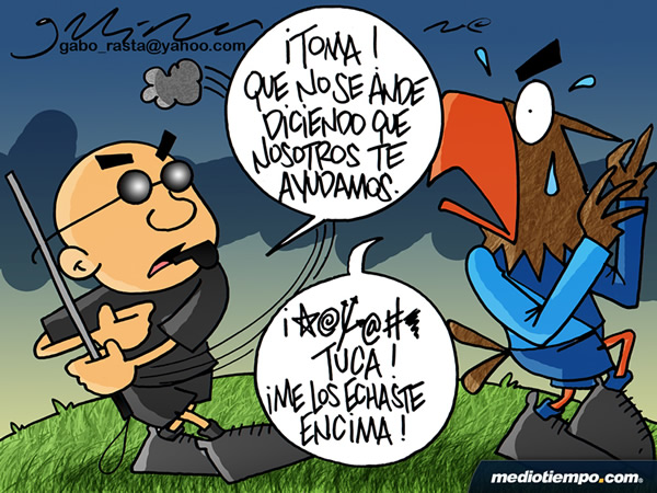 Palos de ciego