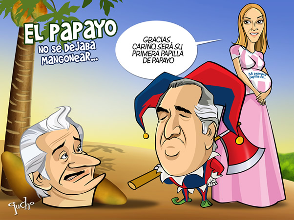 Papilla de papayo