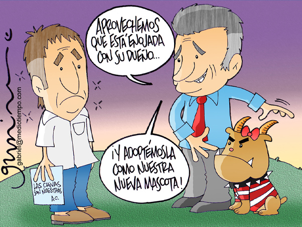 Perrita Brava con cuernos