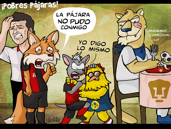 Pobres pájaras