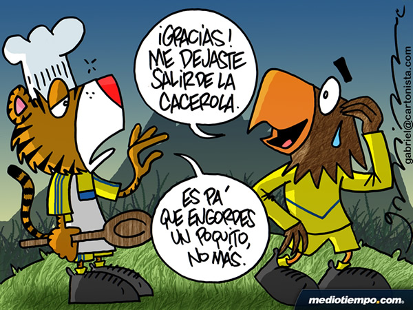 Pollo de engorda