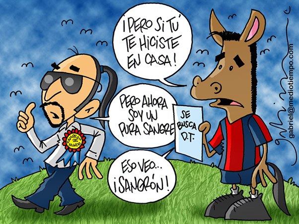 Potro cotizado