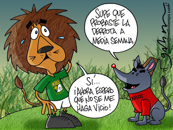 Preocupación Felina