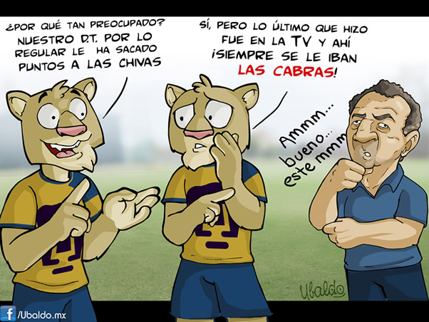 Preocupación Puma