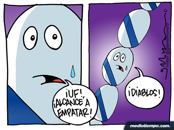Puebla enchorizado