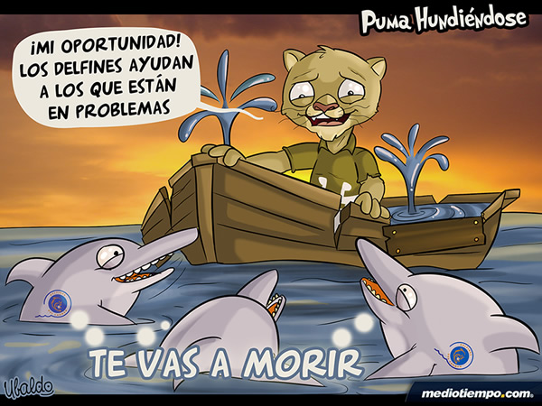 Puma hundiéndose