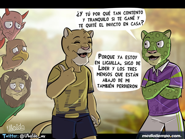 Puma, tranquilo