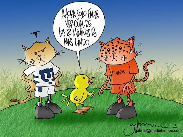 Pumas Jaguares mininos lindos Pumas Jaguares mininos lindos