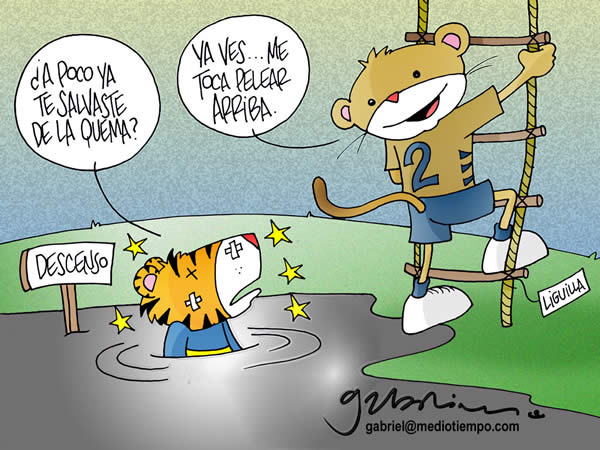 Pumas peleara en la liguilla Pumas peleara en la liguilla