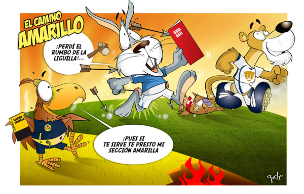 Pumas, Tecos, America, Mty, Cruz Azul, Indios, Apertura 2008 Pumas, Tecos,...