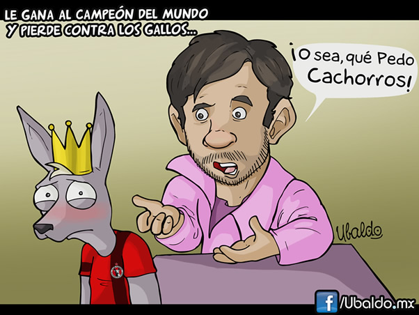 ¿Qué onda con los Xolos?
