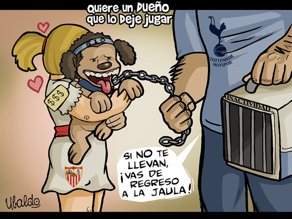 Quiere un dueño que lo deje jugar