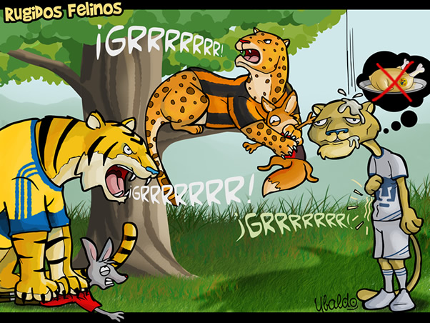 Rugidos felinos