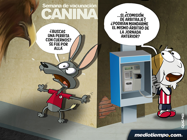 Semana canina
