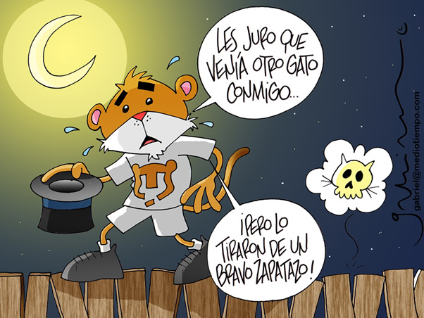 Serenata Felina