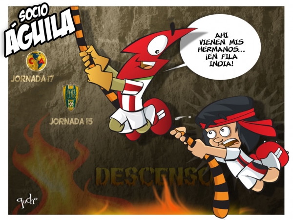 Socio Águila