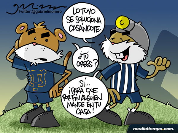 Solución para Pumas