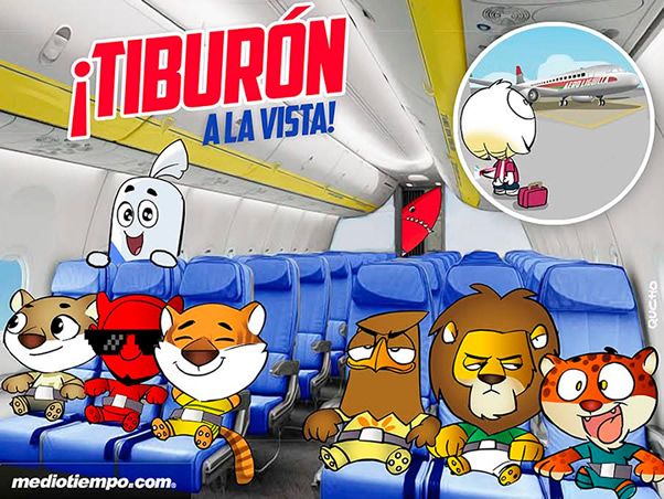 Tiburón a la vista