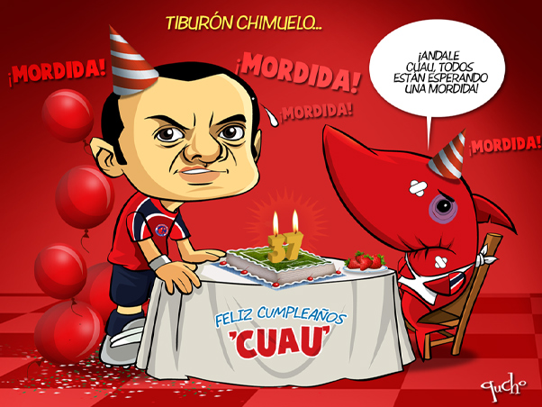 Tiburón chimuelo