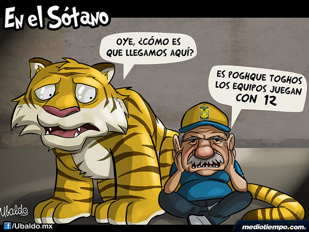 Tigre sotanero