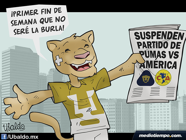 Un gato con suerte