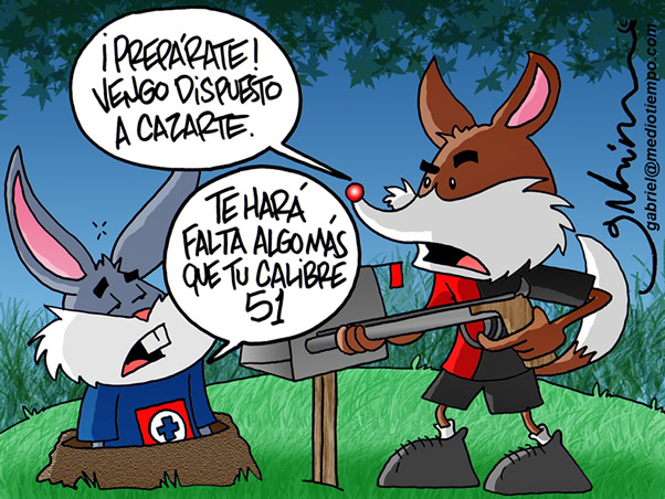 Un Zorro cazador