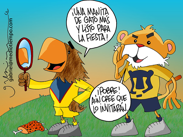 Una manita de gato