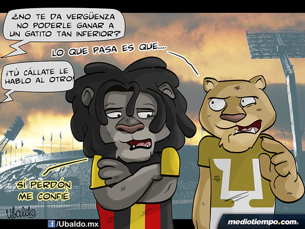 Una vergüenza felina