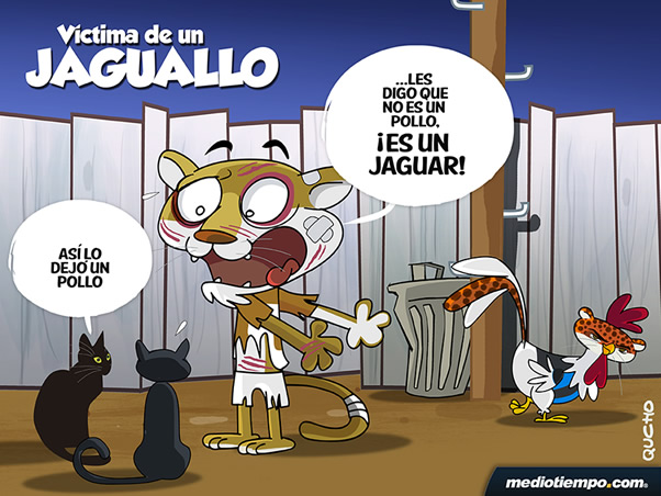 Víctima de un Jaguallo