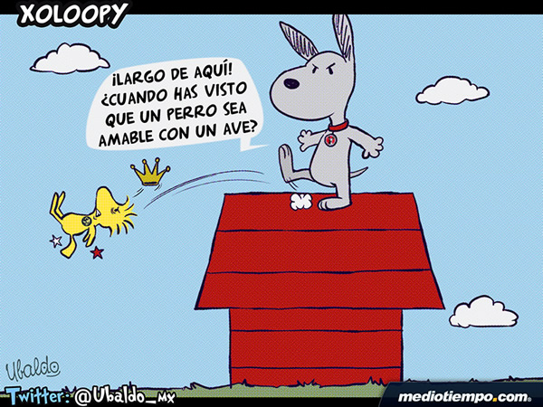 Xoloopy