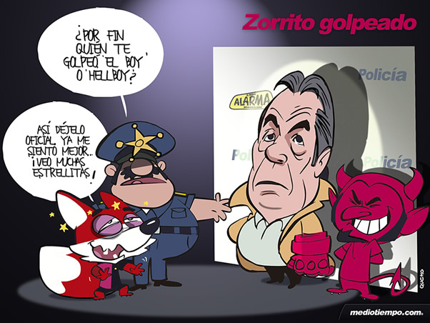 Zorrito golpeado