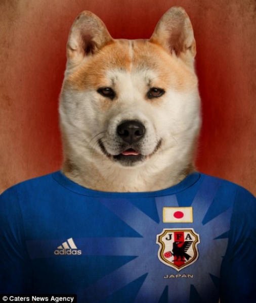 Akita Inu