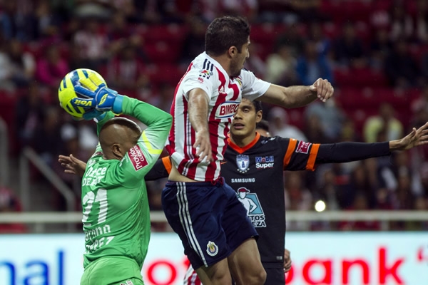 Conejo salió en el momento justo para resguardar su cabaña.