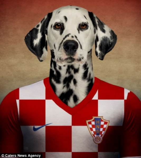 Dálmata