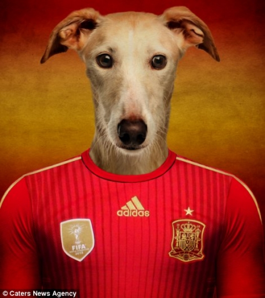 Galgo